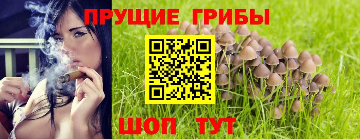 Дальнегорск  Псилоцибиновые грибы GOLDEN TEACHER  Вход с VPN 